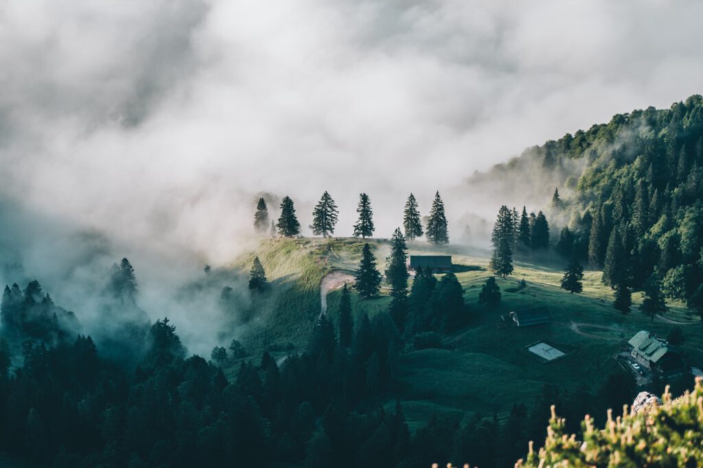 nature, fog, outdoors-6780354.jpg