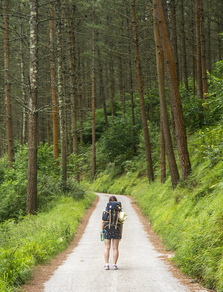 tourist, traveler, nature-4400871.jpg