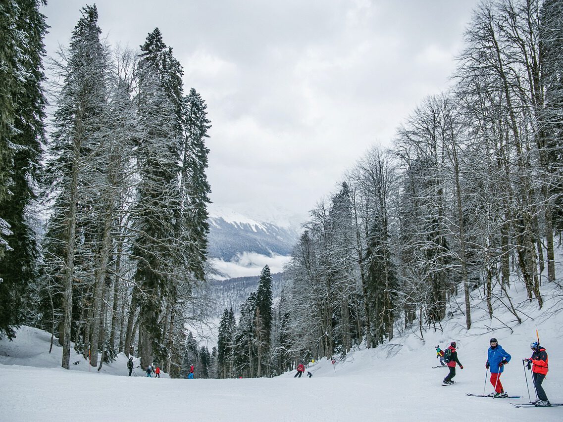snow, skiing, people-5828736.jpg
